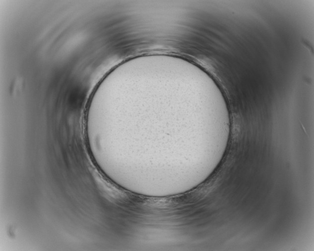 X0000102761474200809151003