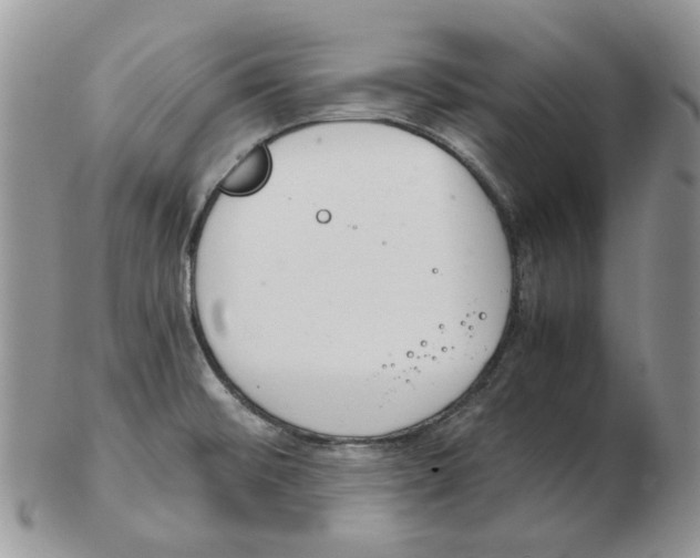 X0000102761476200809151003