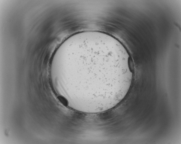 X0000102761477200809151003