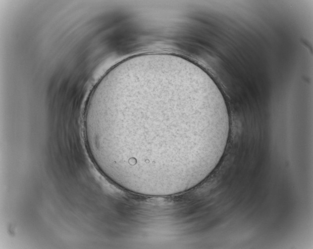 X0000102761478200809151003