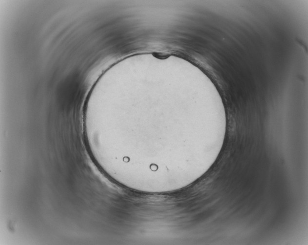 X0000102761479200809151003