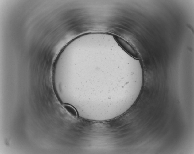 X0000102761480200809151003