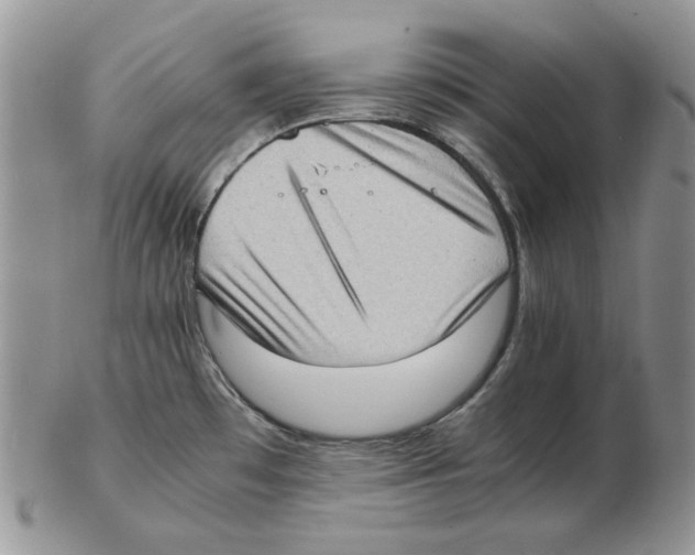 X0000102761481200809151003