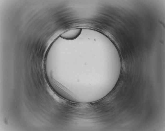 X0000102761482200809151003