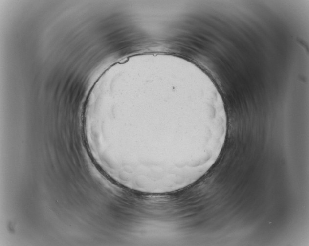 X0000102761483200809151003