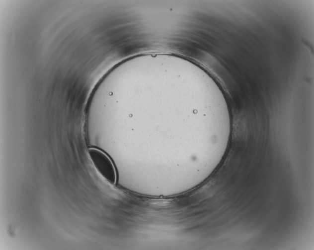 X0000102761484200809151003