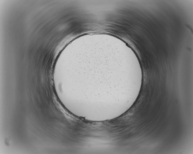 X0000102761485200809151003