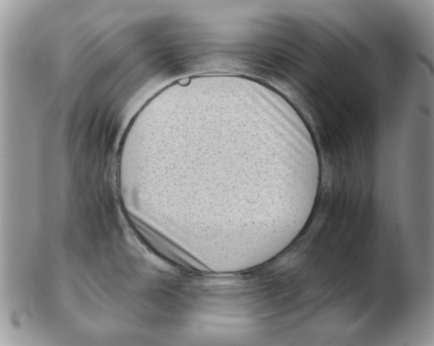 X0000102761486200809151003