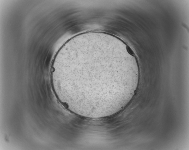 X0000102761488200809151003