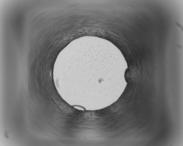 X0000102761489200809151002