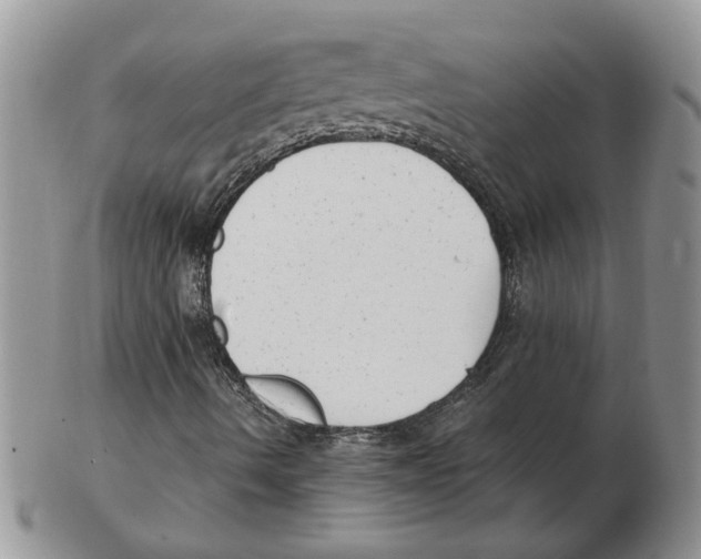 X0000102761490200809151002