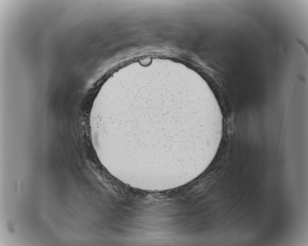 X0000102761496200809151002