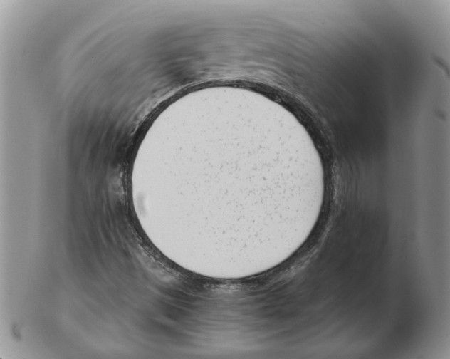 X0000102761497200809151002