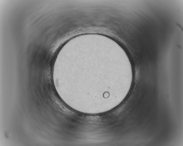 X0000102761498200809151002