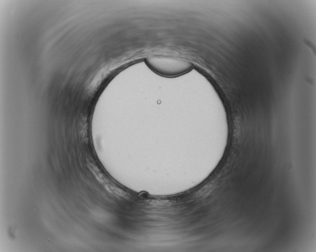 X0000102761499200809151002