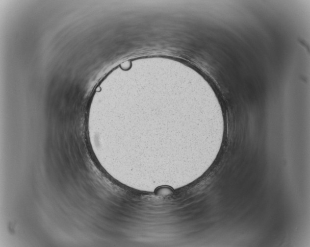 X0000102761500200809151002