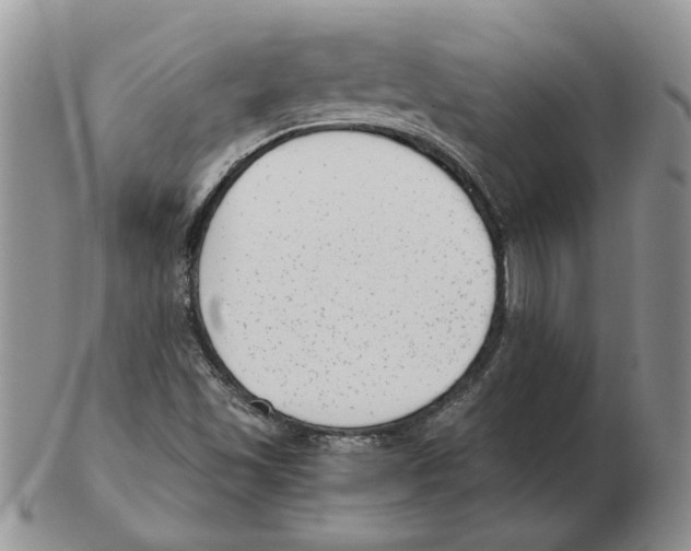 X0000102761501200809151002