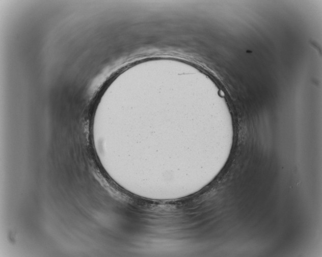 X0000102761503200809151002