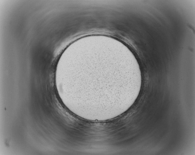 X0000102761504200809151002