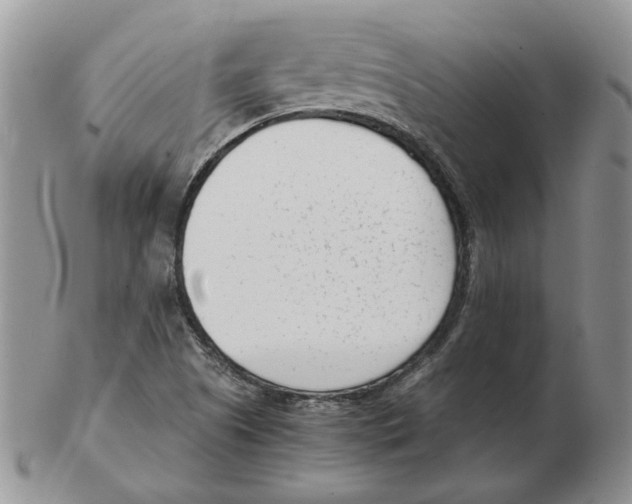 X0000102761505200809151002