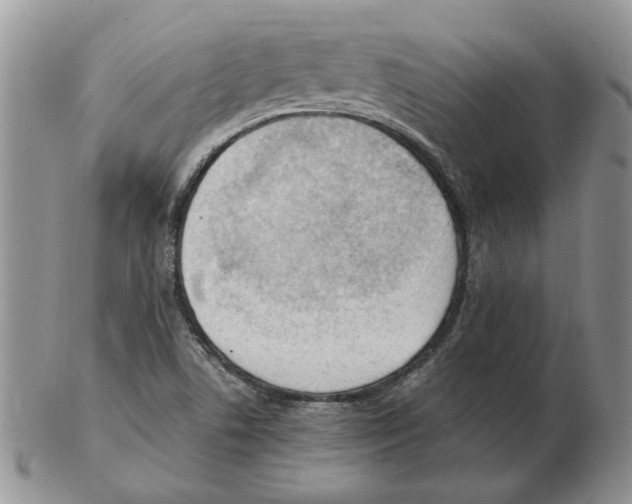 X0000102761506200809151002