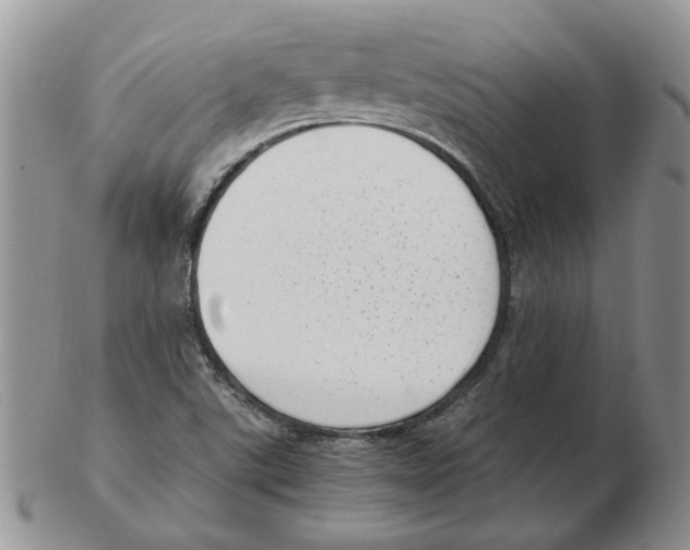 X0000102761507200809151002