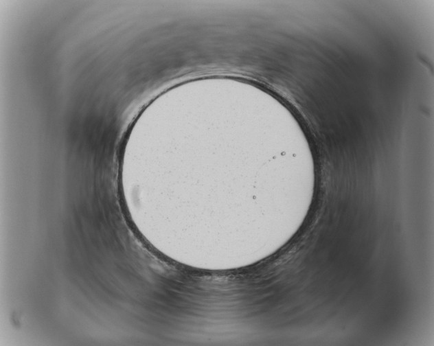 X0000102761508200809151002