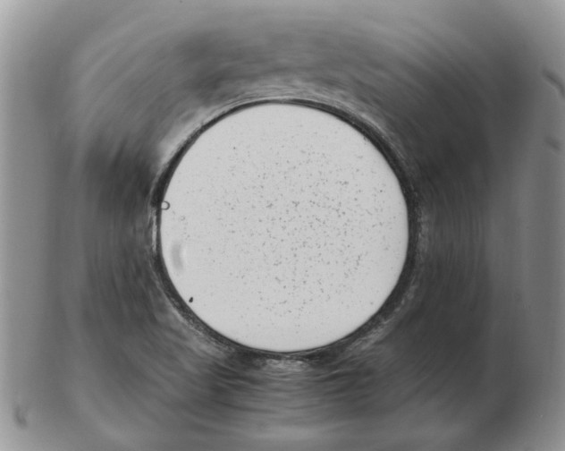 X0000102761509200809151002