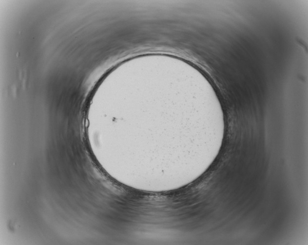 X0000102761511200809151002