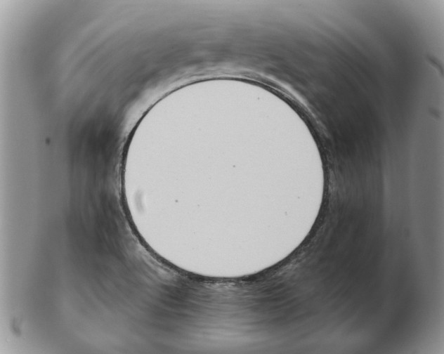 X0000102761512200809151002