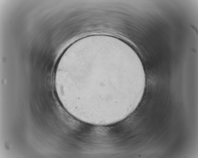 X0000102761514200809151002