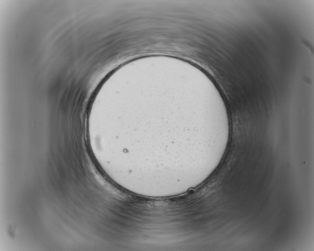 X0000102761515200809151002