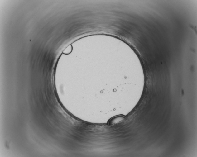 X0000102761516200809151002