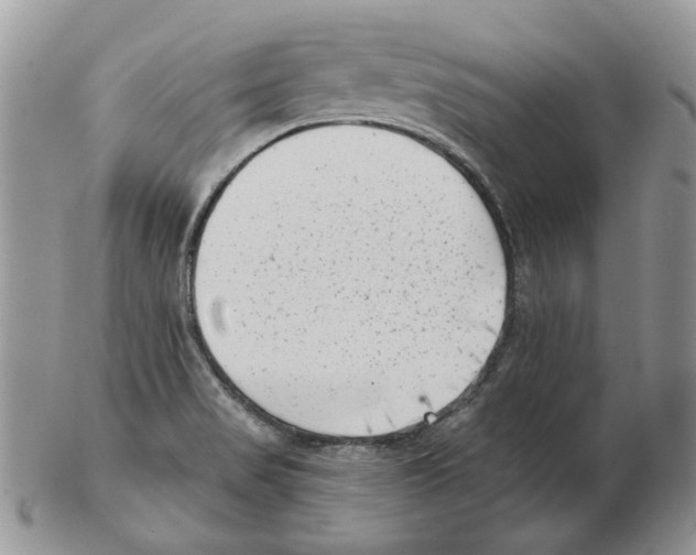 X0000102761517200809151002