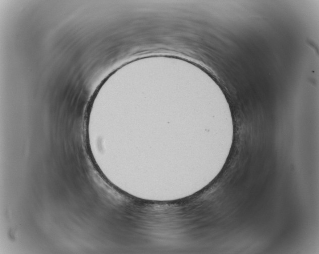 X0000102761518200809151002