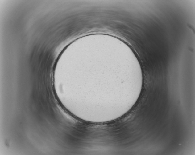 X0000102761519200809151002