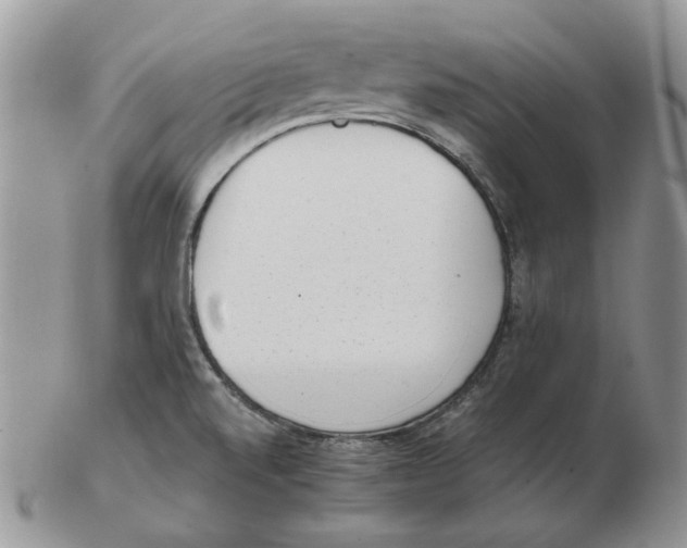 X0000102761520200809151002