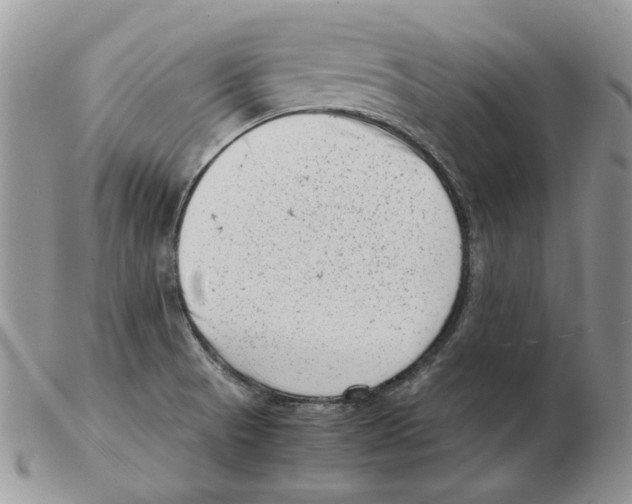 X0000102761521200809151002