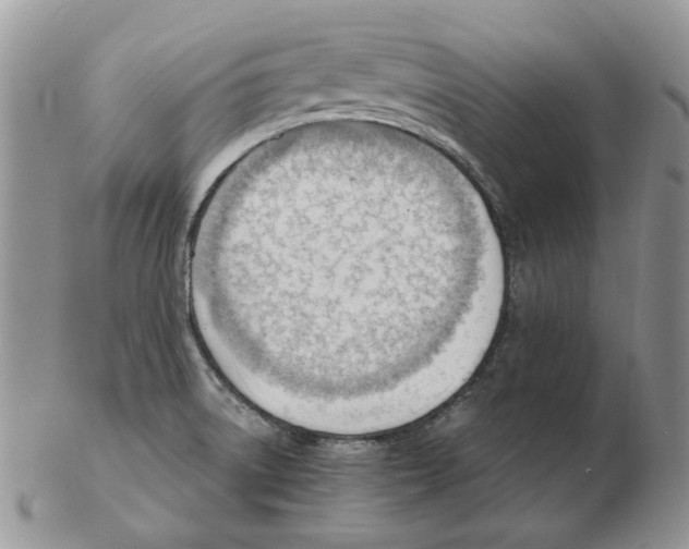 X0000102761522200809151002