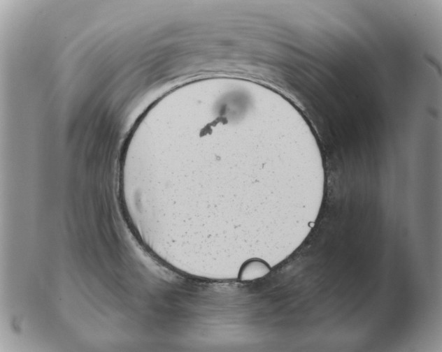 X0000102761523200809151002