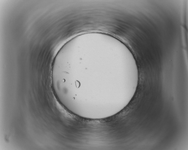 X0000102761524200809151002