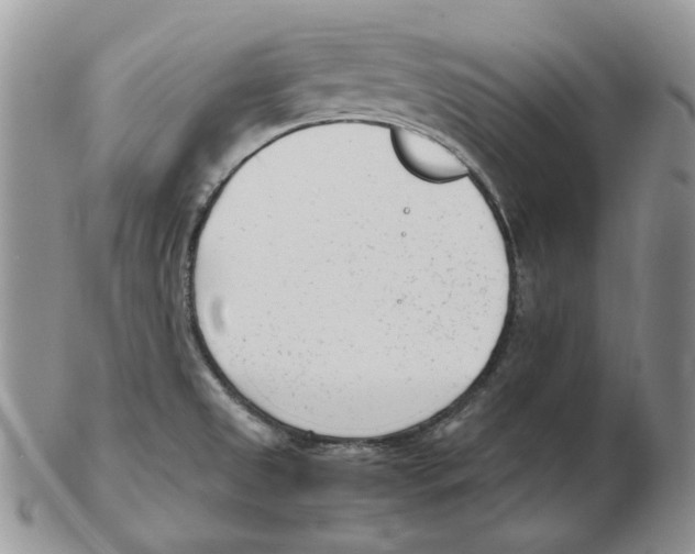 X0000102761525200809151002