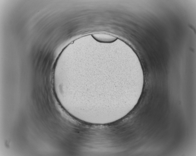 X0000102761526200809151002