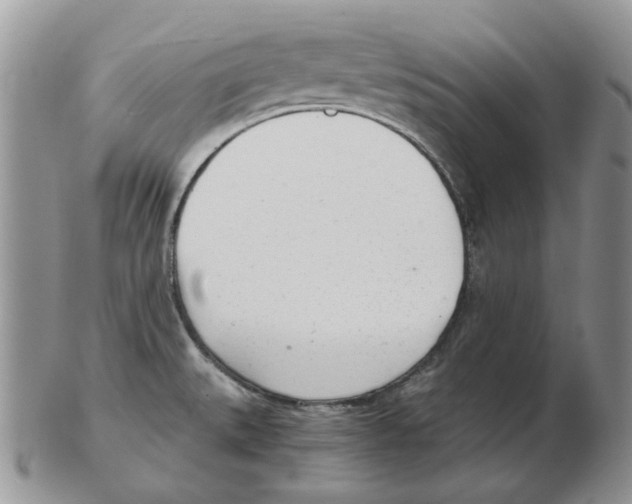 X0000102761527200809151002