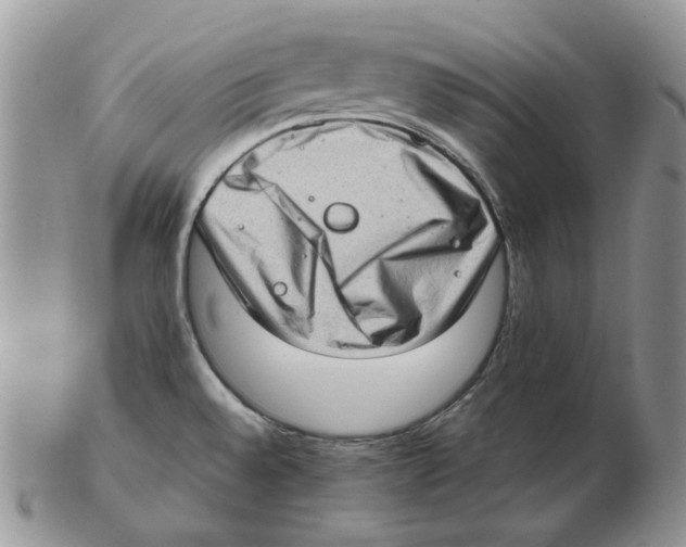 X0000102761528200809151003