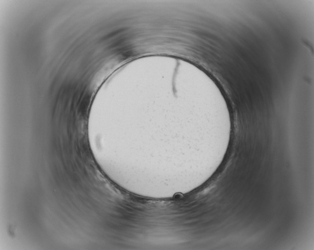 X0000102761529200809151003