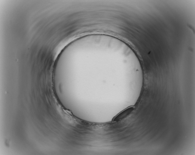 X0000102761530200809151003