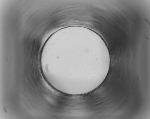 X0000102761531200809151003