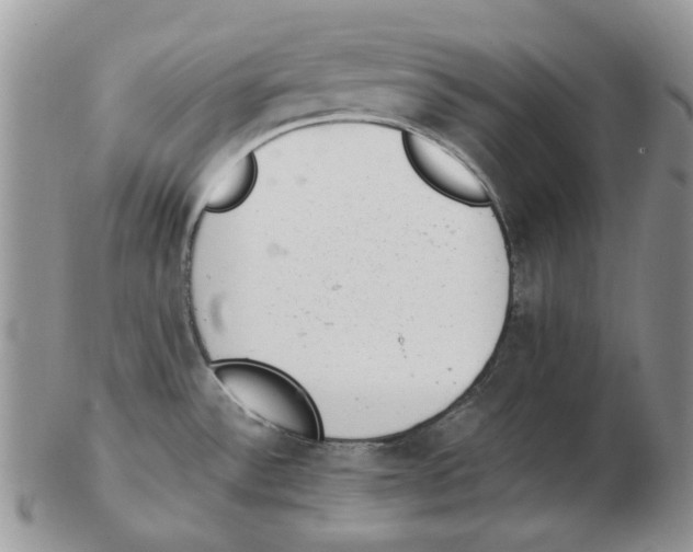 X0000102761532200809151003