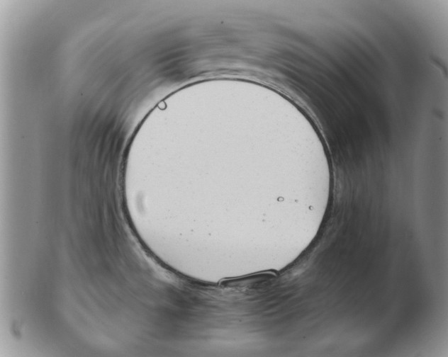 X0000102761533200809151003